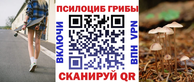 Псилоцибиновые грибы ЛСД  Купить где  Княгинино 